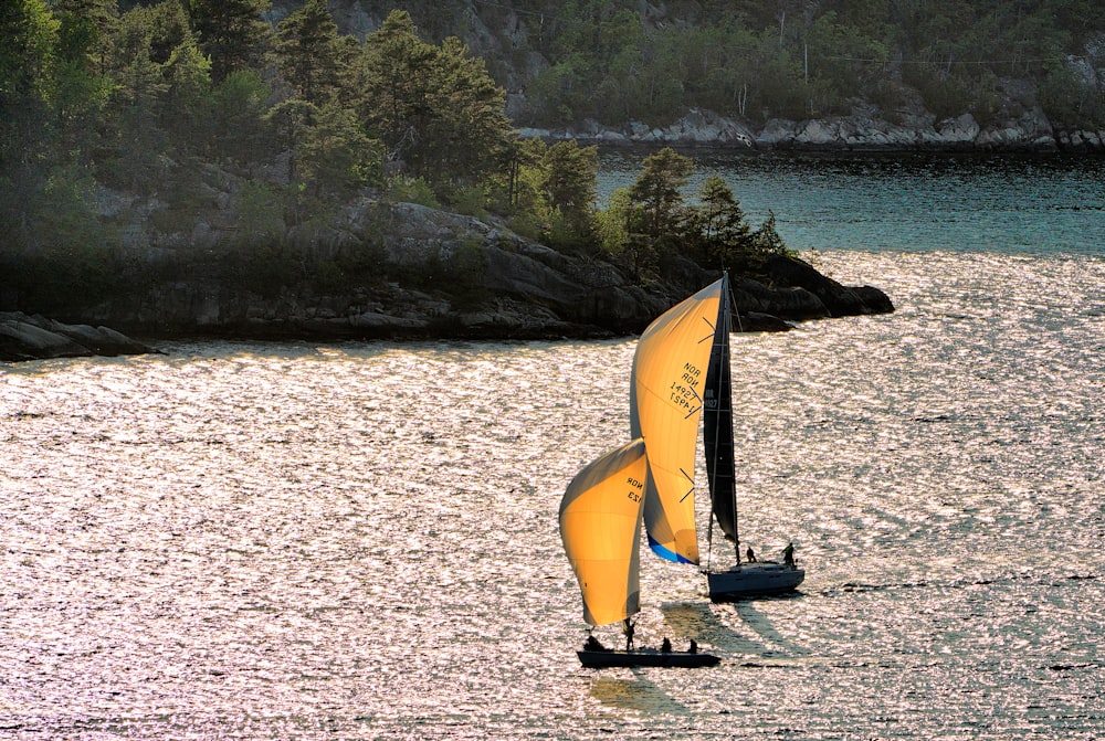 a couple of sail boats floating on top of a lake