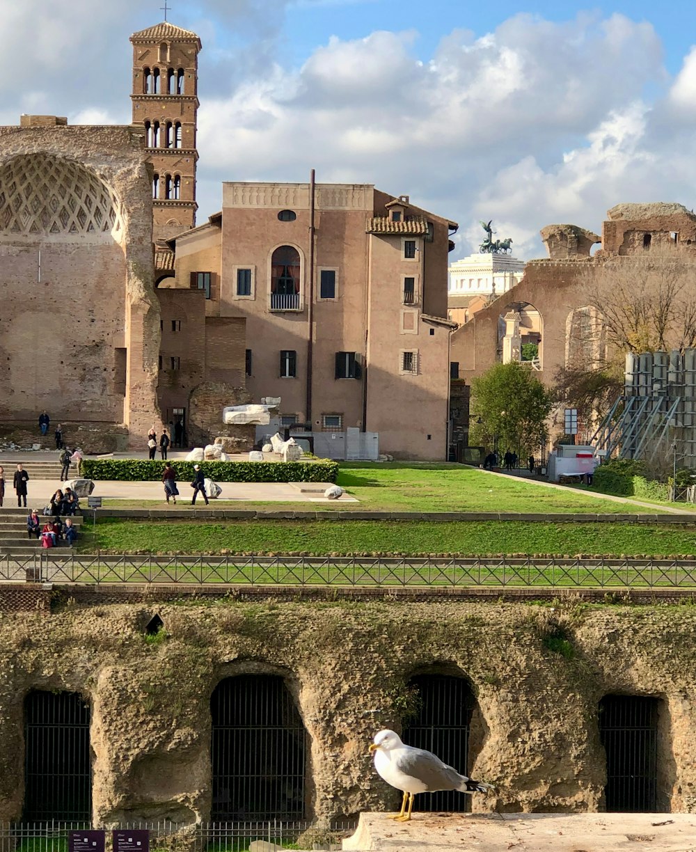 a bird sitting on a ledge in front of a building