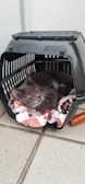 A gray cat with yellow eyes is lying inside a black pet carrier, which contains a colorful blanket with red, white, and black patterns. The cat appears calm and relaxed. The carrier is placed on a tiled floor and there is a small wooden object nearby.