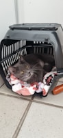 A gray cat with yellow eyes is lying inside a black pet carrier, which contains a colorful blanket with red, white, and black patterns. The cat appears calm and relaxed. The carrier is placed on a tiled floor and there is a small wooden object nearby.