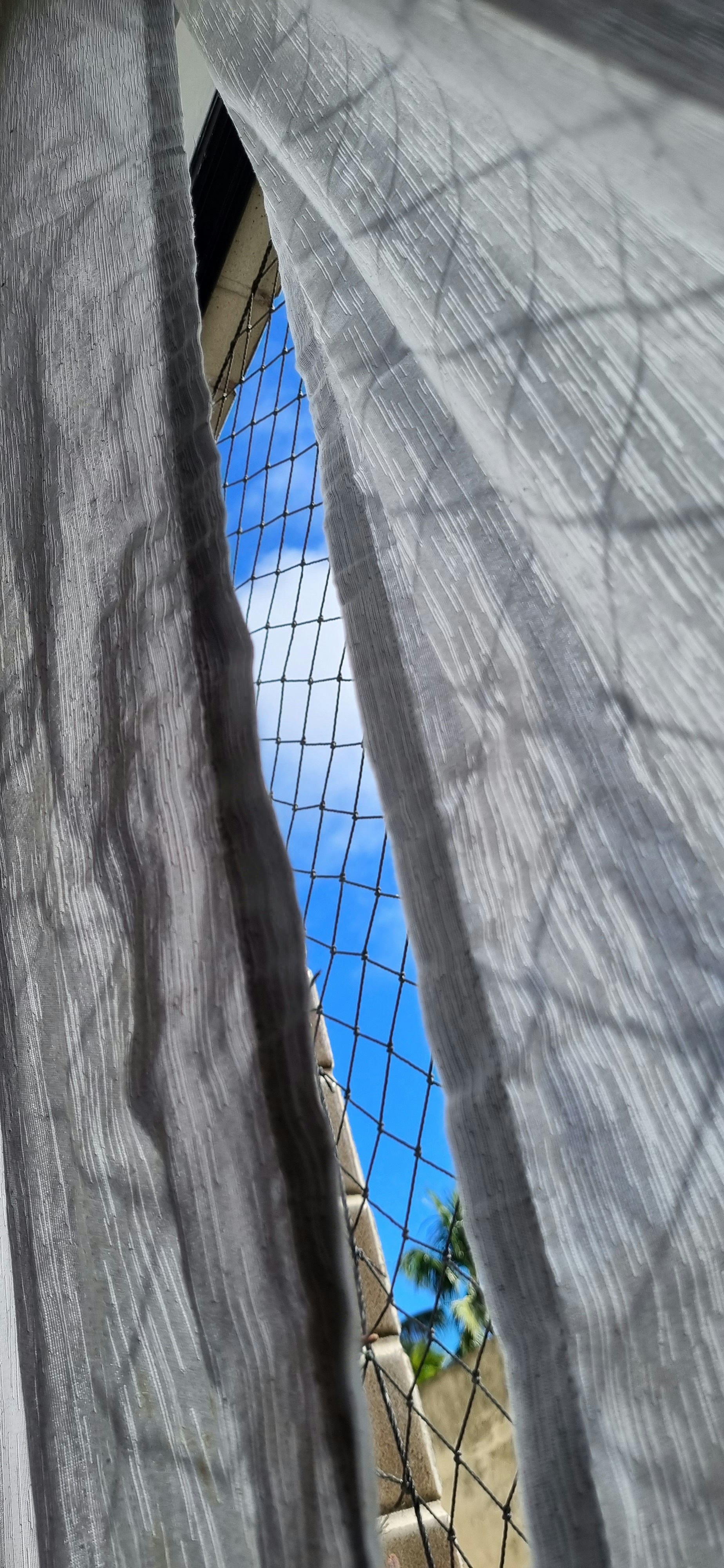 Elegant Window Curtains