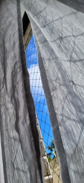 A sheer white curtain is gently blowing in front of a window with a safety mesh. Beyond the mesh, a glimpse of a bright blue sky with a few clouds is visible. A small section of a tree with green leaves is in the background.