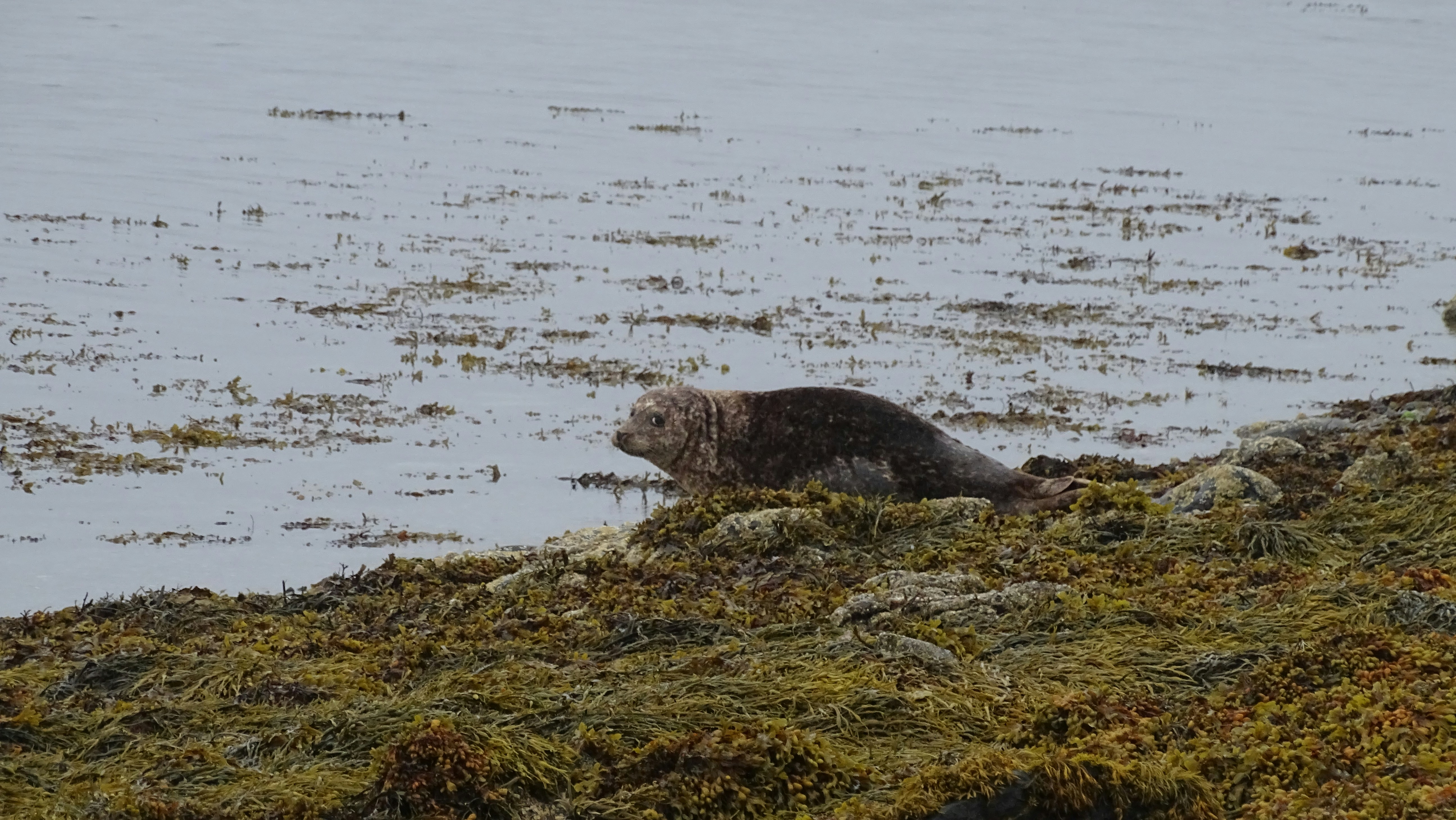 Photo by symmolofficial