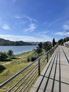 A scenic riverside cycling path lined with wildflowers under a clear blue sky.