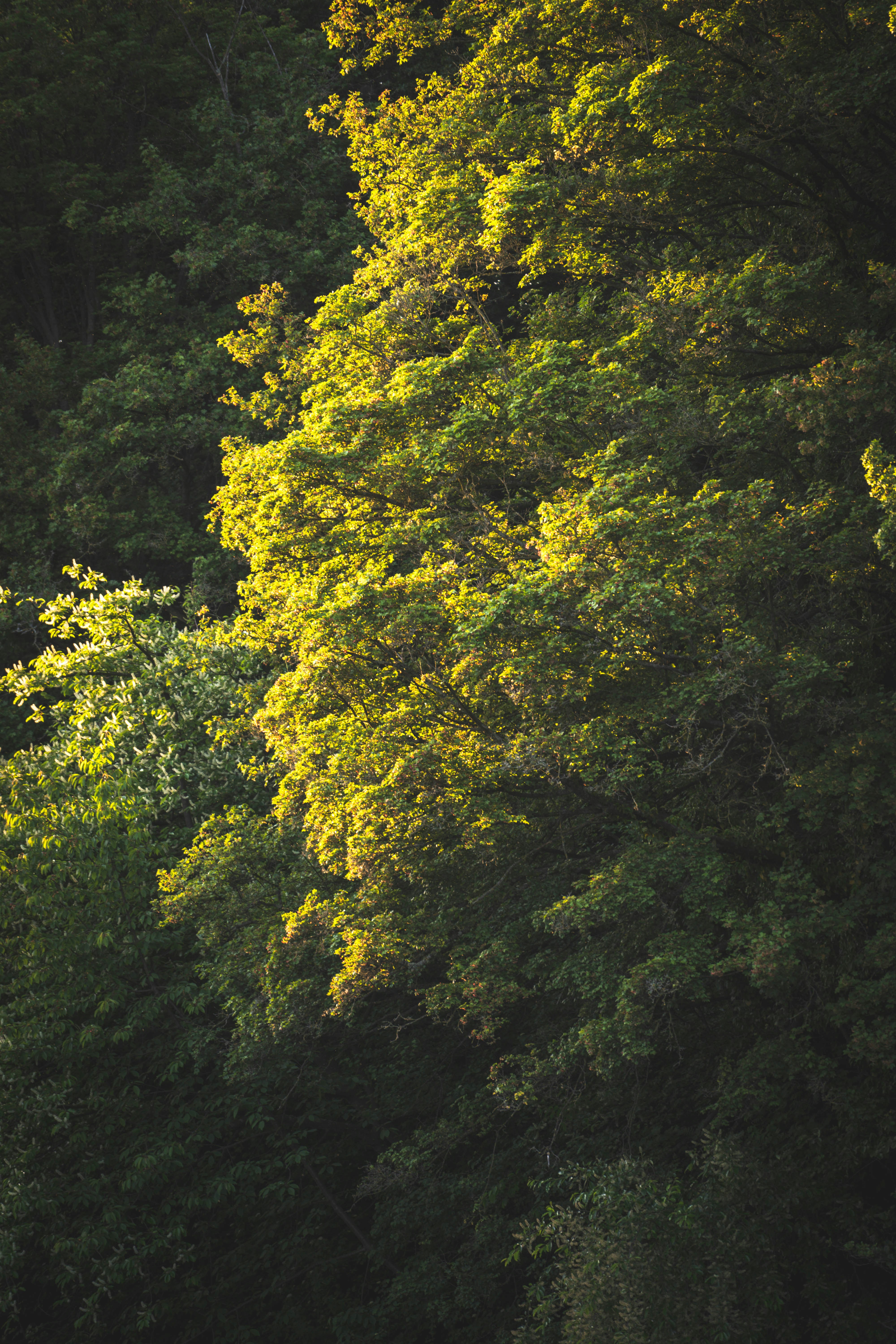 Photo by konstantin_rmy