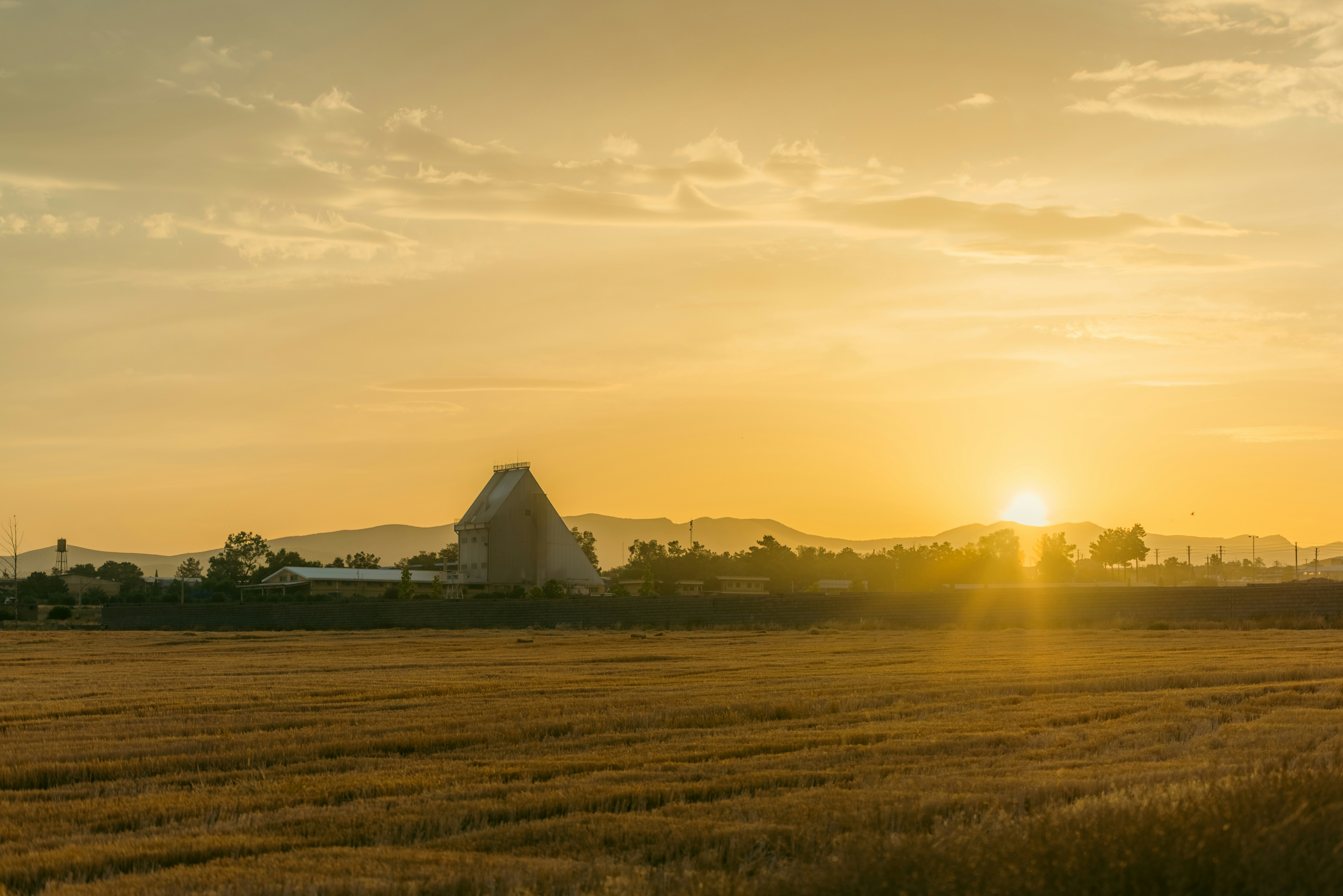 the sun is setting over a field of wheat