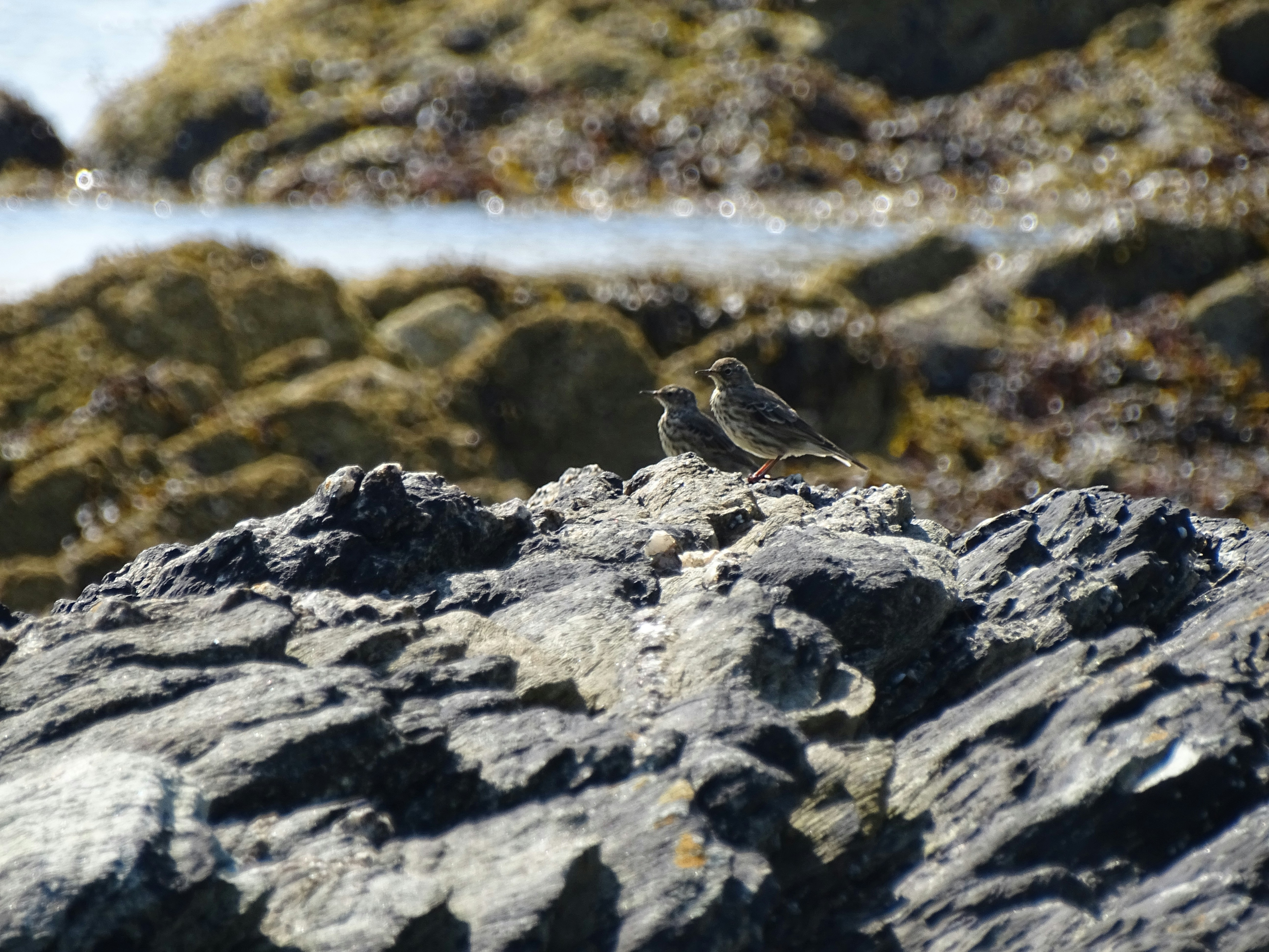 Photo by symmolofficial