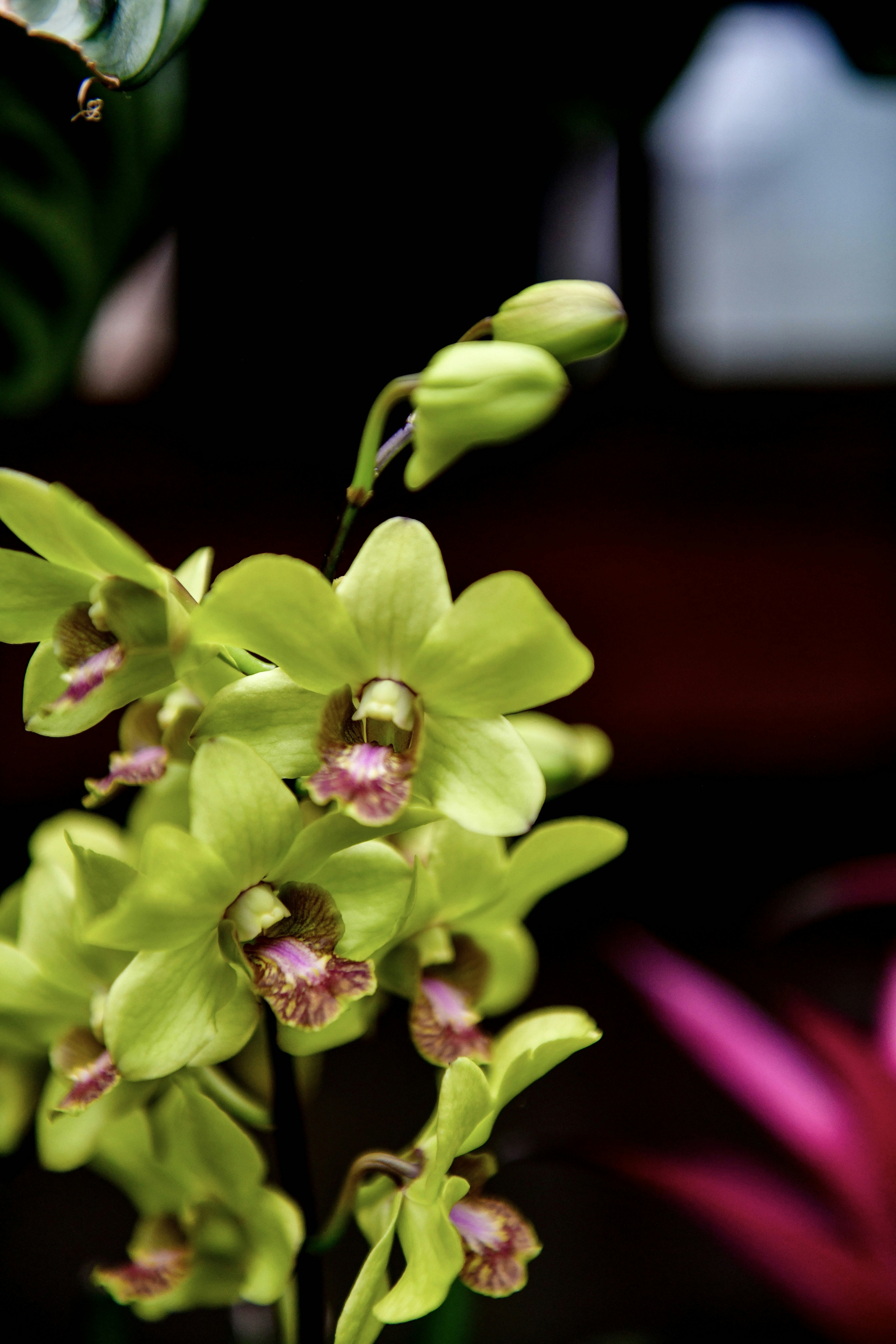 Photo by hlandkammer