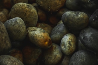 A close-up view of a pile of raw, unwashed potatoes with rough and earthy textures. The lighting is dim, creating a rustic and natural atmosphere.