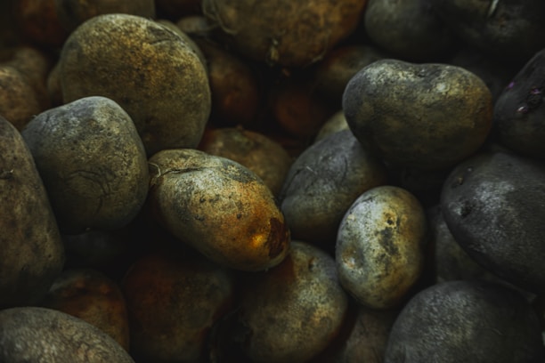 A close-up view of a pile of raw, unwashed potatoes with rough and earthy textures. The lighting is dim, creating a rustic and natural atmosphere.
