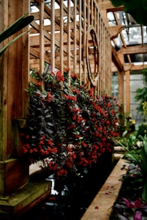 A wooden trellis structure with vibrant red flowers cascading down in an indoor garden setting. The wooden framework is detailed with a round opening, allowing light to filter through. A narrow water feature runs parallel to the structure, surrounded by lush green plants.