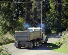 A 2013 Ford F350 dually towing a black dump trailer loaded with yard waste and branches.