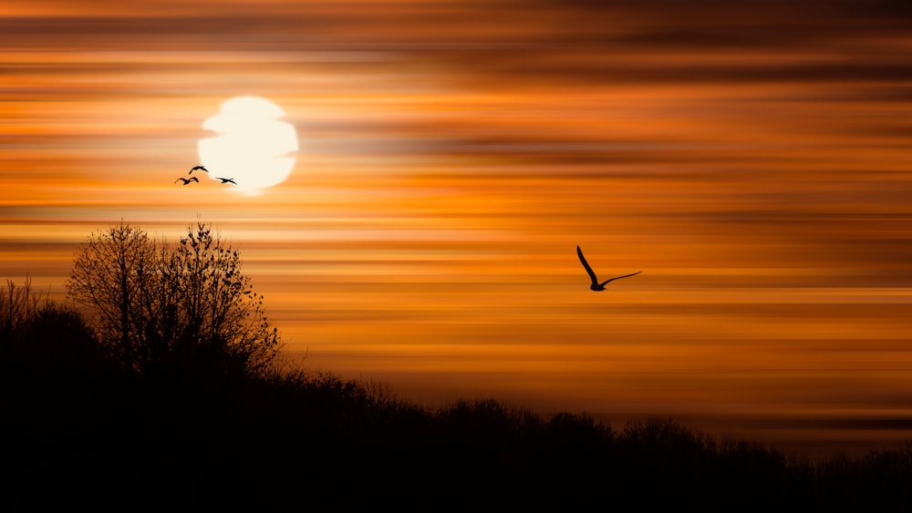 two [UNK] flying in front of a [UNK]