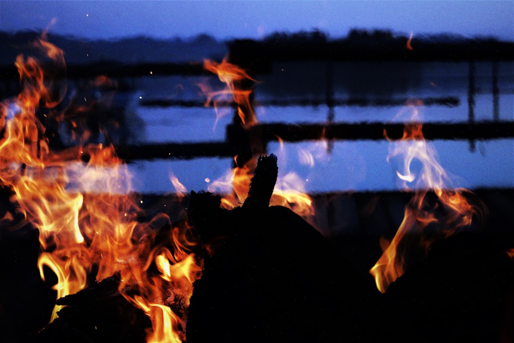 a close up of a fire with a body of water in the background