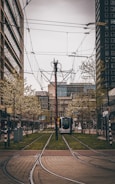 A modern cityscape featuring tram tracks running between tall buildings and trees. The tram is approaching from the distance, surrounded by blooming trees and various city infrastructure.