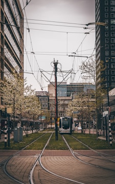 A modern cityscape featuring tram tracks running between tall buildings and trees. The tram is approaching from the distance, surrounded by blooming trees and various city infrastructure.