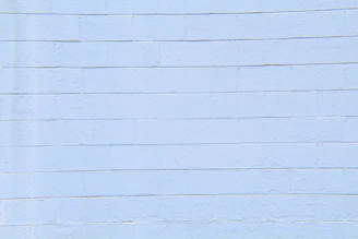 Freshly parged foundation wall with smooth, even finish in natural light.