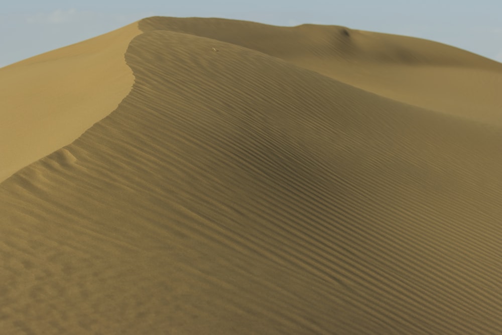 Una gran duna de arena en medio de un desierto