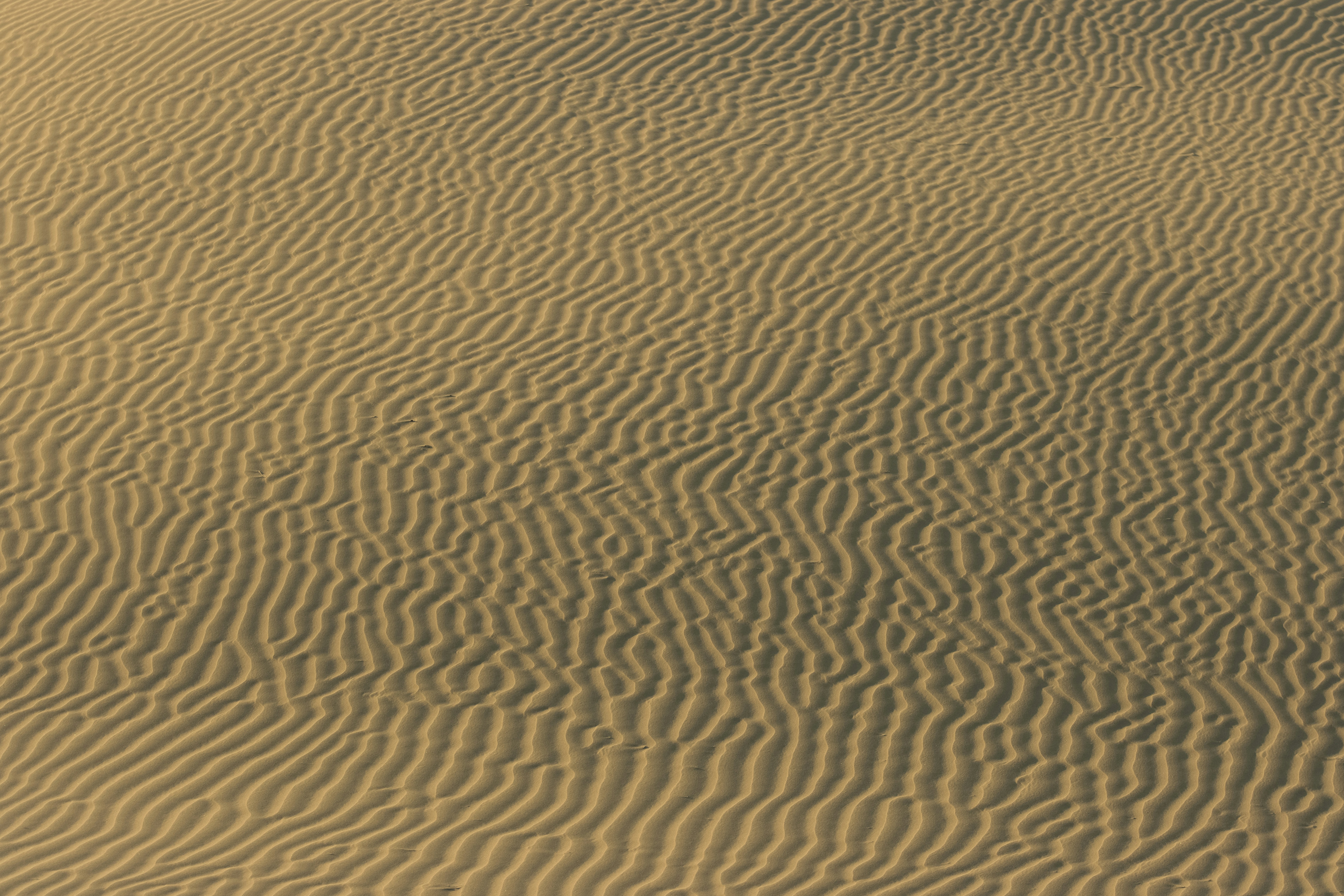 a [UNK] standing on top of a [UNK] beach