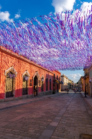 A vibrant street scene in Fortaleza during a lively event with purple and lilac decorations.