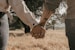 a man and a woman holding hands in a field
