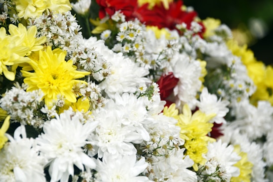A vibrant floral arrangement showcasing various flowers.