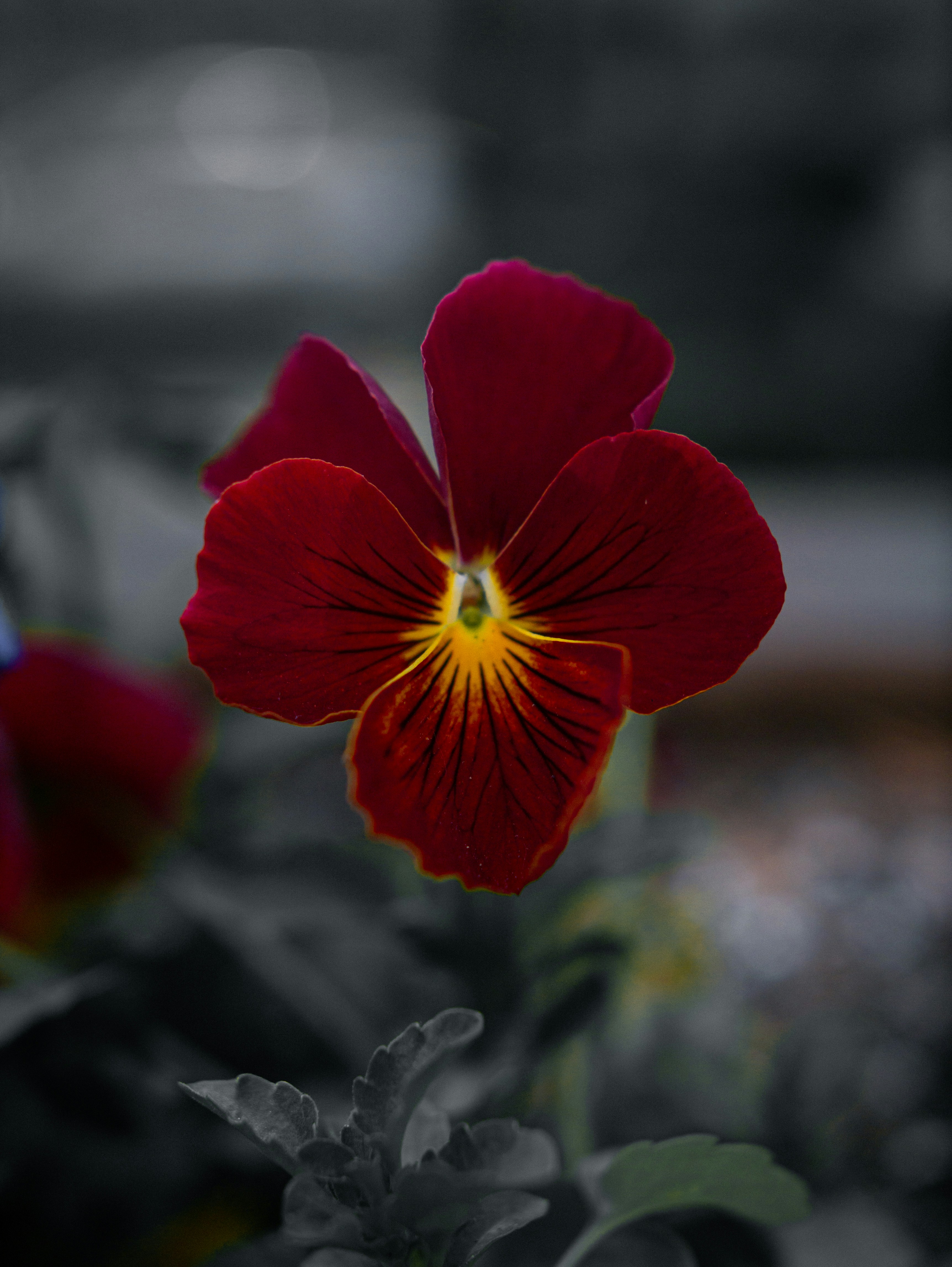 Photo by jadonjohnson