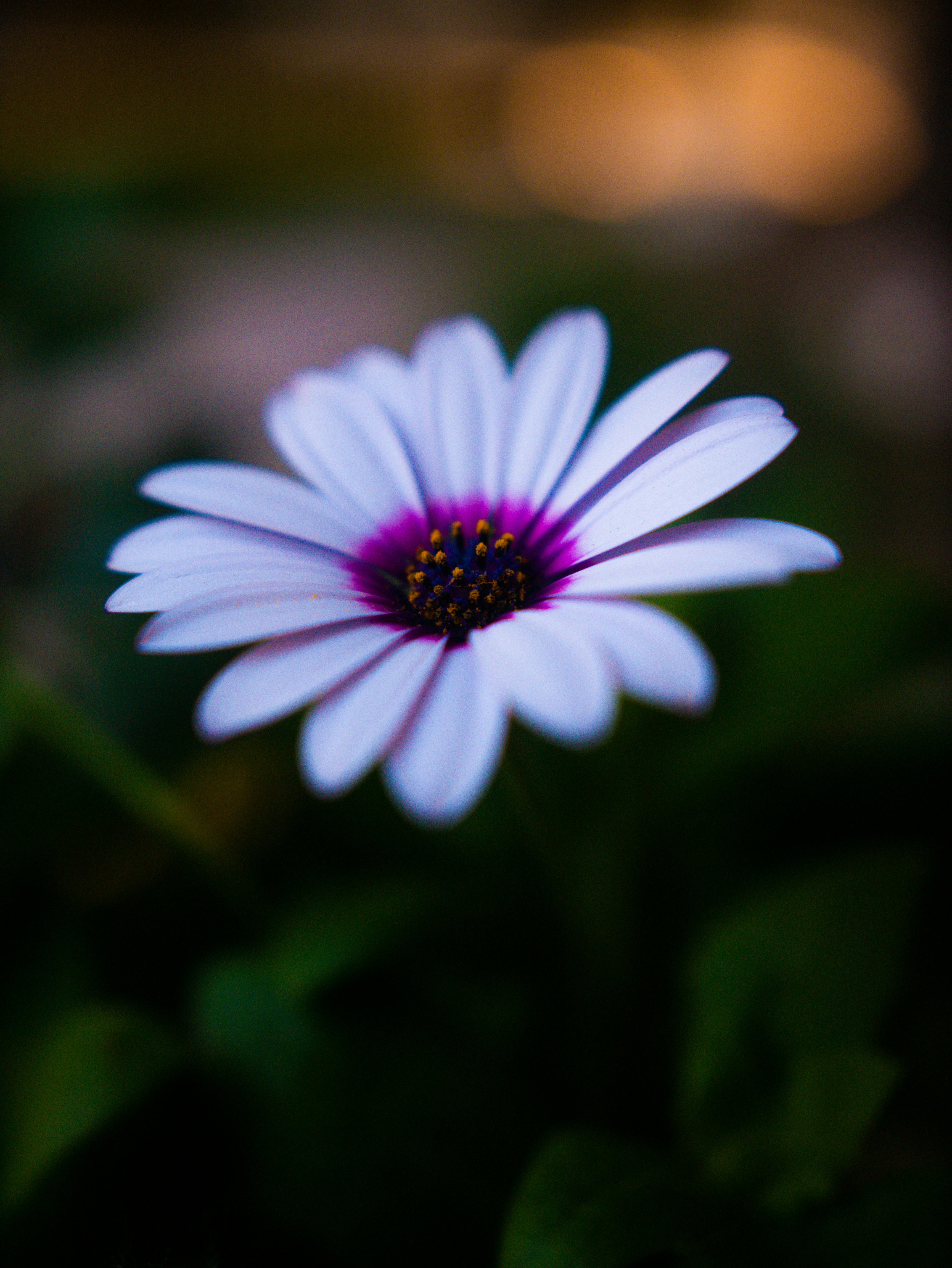 Photo by jadonjohnson