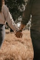 a man and a woman holding hands in a field