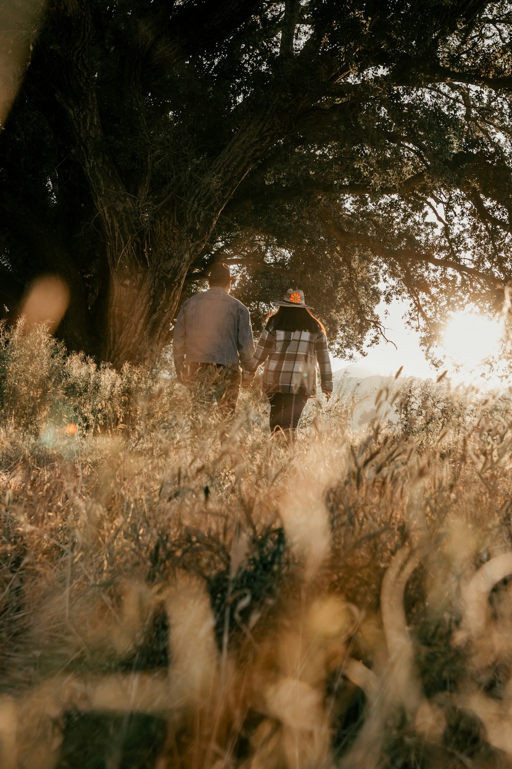 a couple of people walking through a field