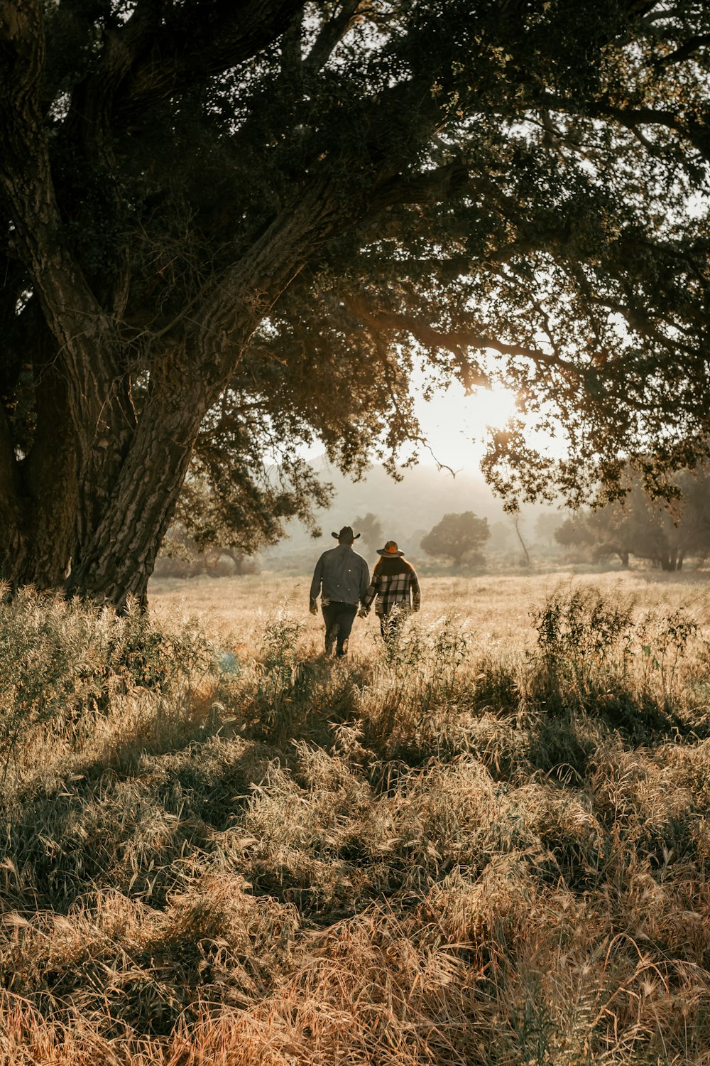 a couple of people that are walking in the grass