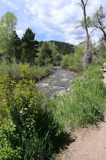 A serene landscape featuring a flowing river surrounded by lush greenery.