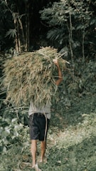 A farmer carefully harvesting wildcrafted herbs in a lush green forest.