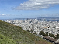 A panoramic view of a New Zealand city skyline with digital AI network overlays.