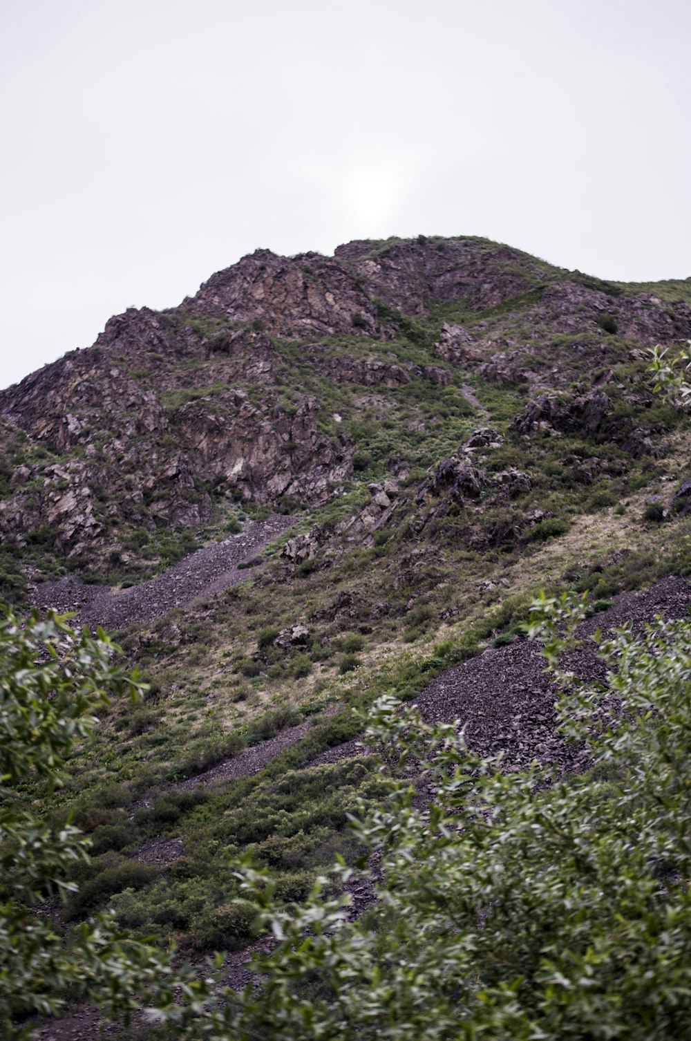 a very tall mountain with a small patch of grass on the side of it