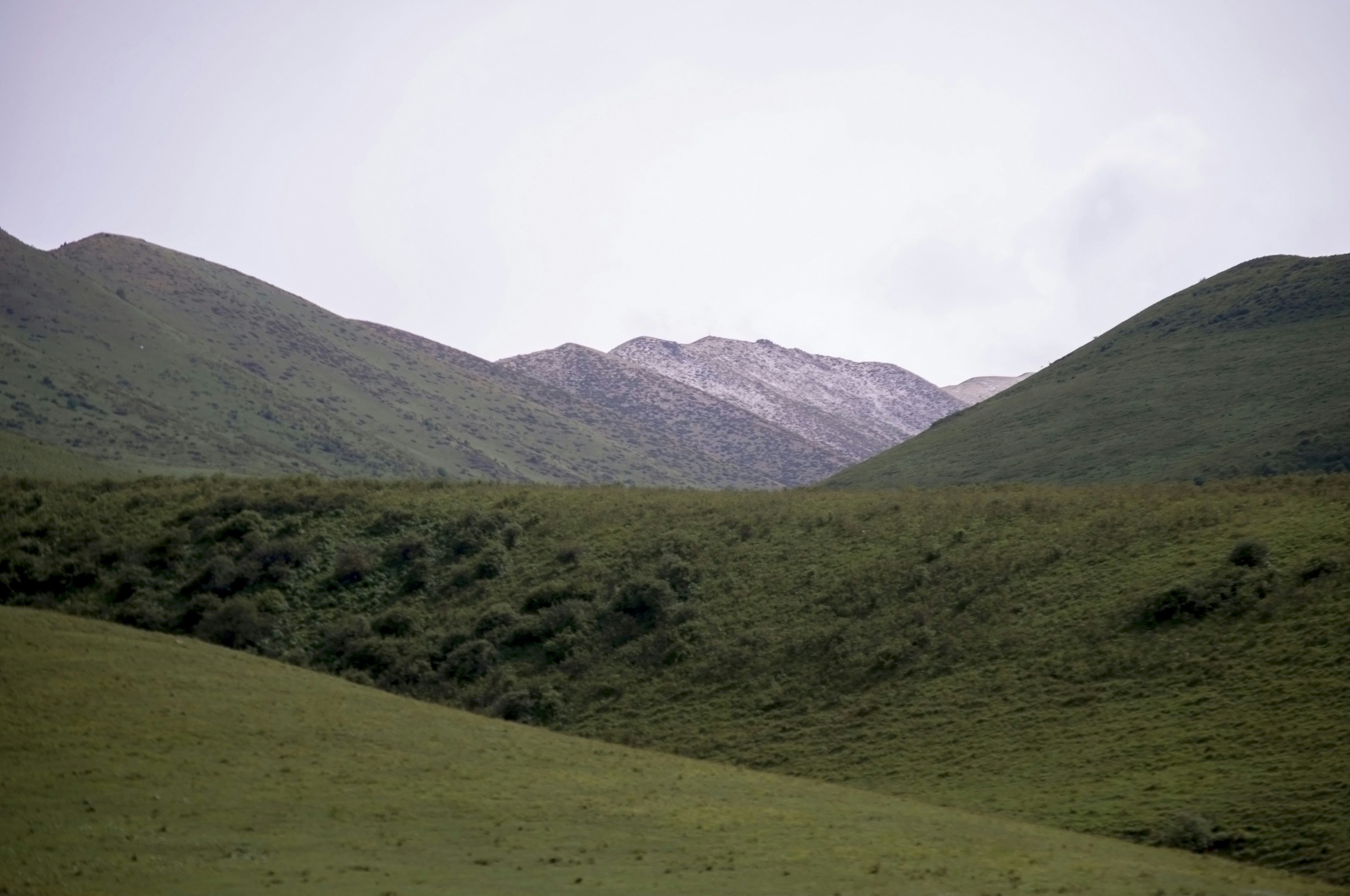 Kyrgyzstan's Ala Archa National Park, Kyrgyzstan - Vegetation in the mountains. Kyrgyzstan. Растительность в горах. Кыргызстан.