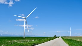 A vast landscape featuring large wind turbines under a clear blue sky. A gravel road runs through green fields, extending towards the horizon. The scene suggests a rural setting with open space and distant mountains.