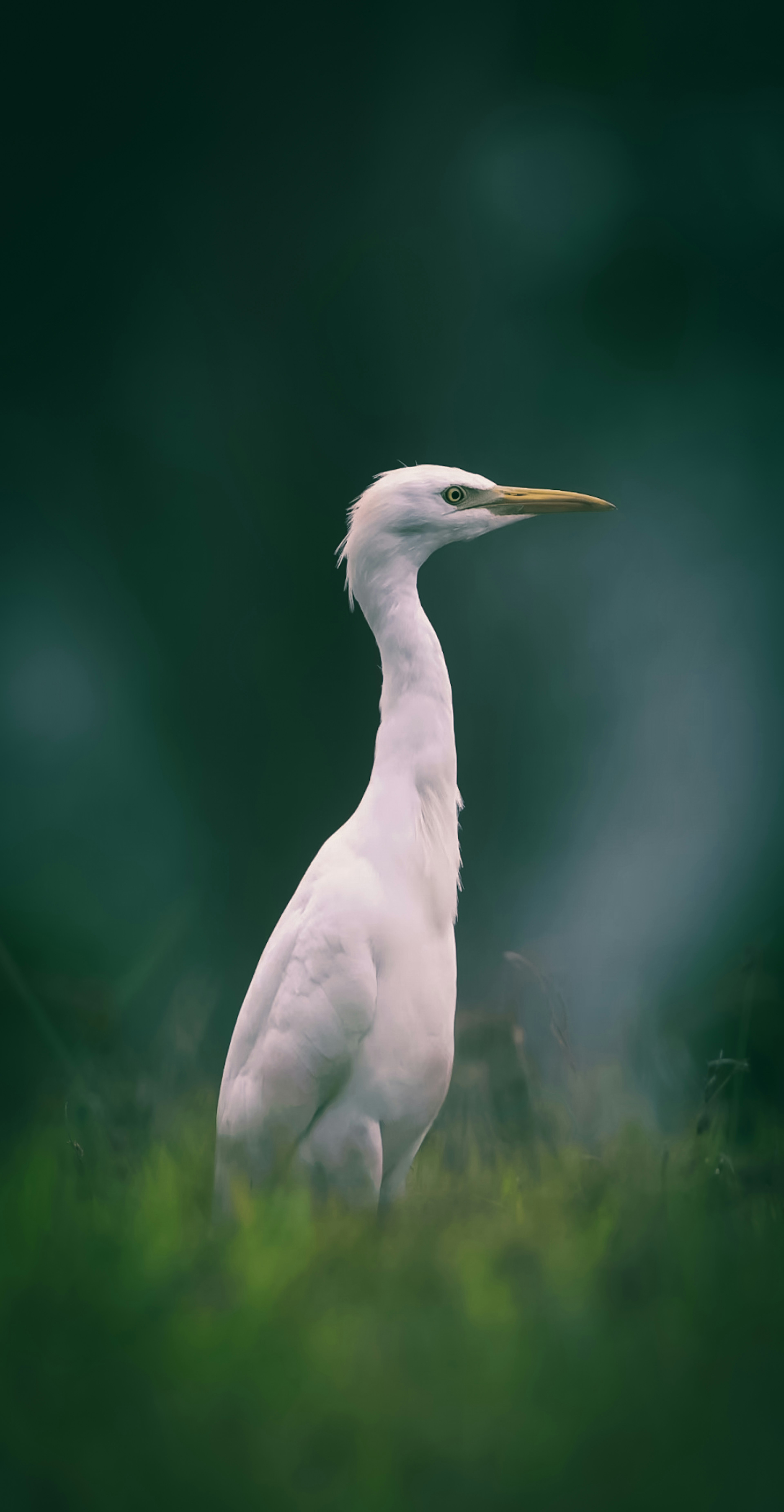 Photo by akhil_editing_club