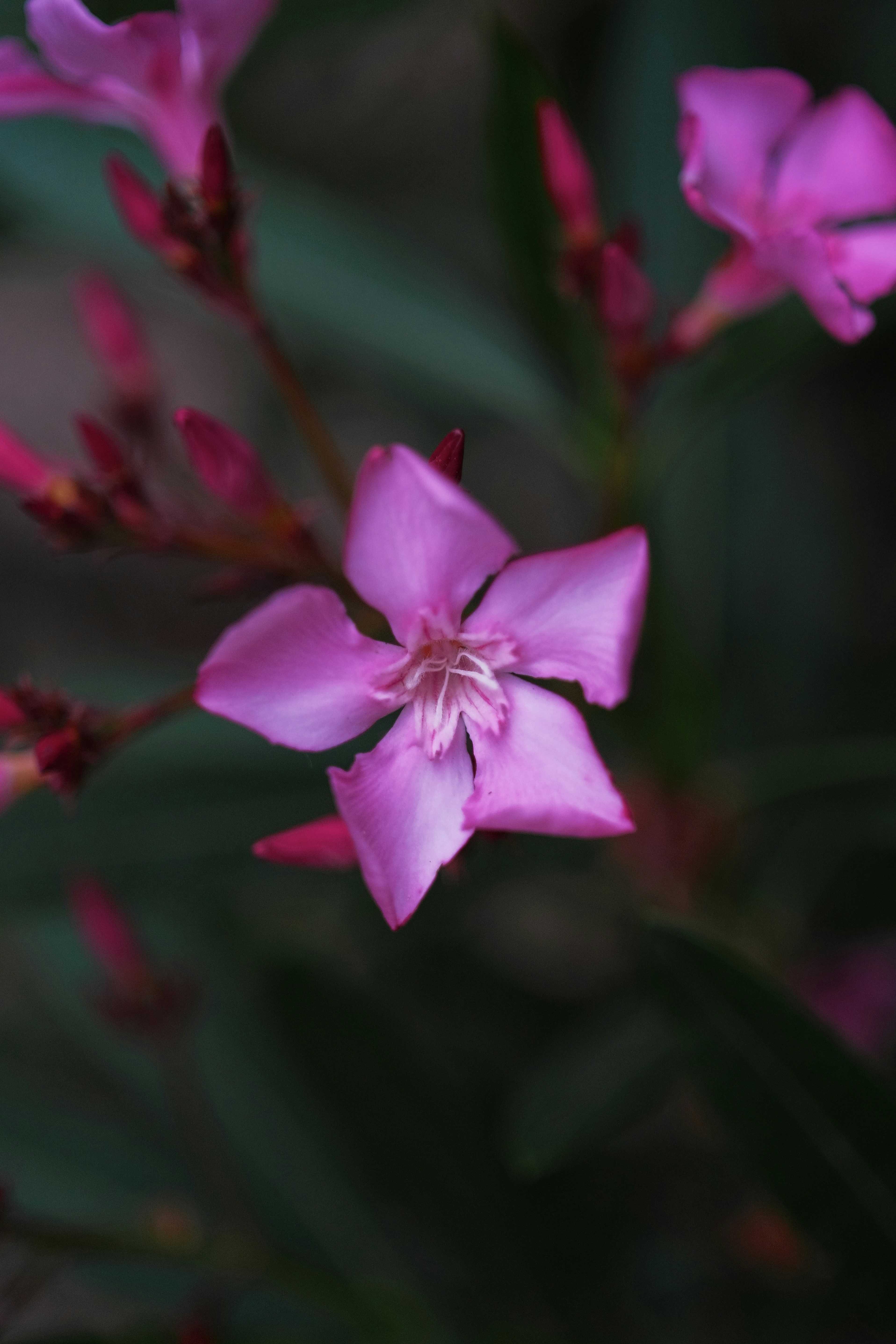 Photo by mrparalloid