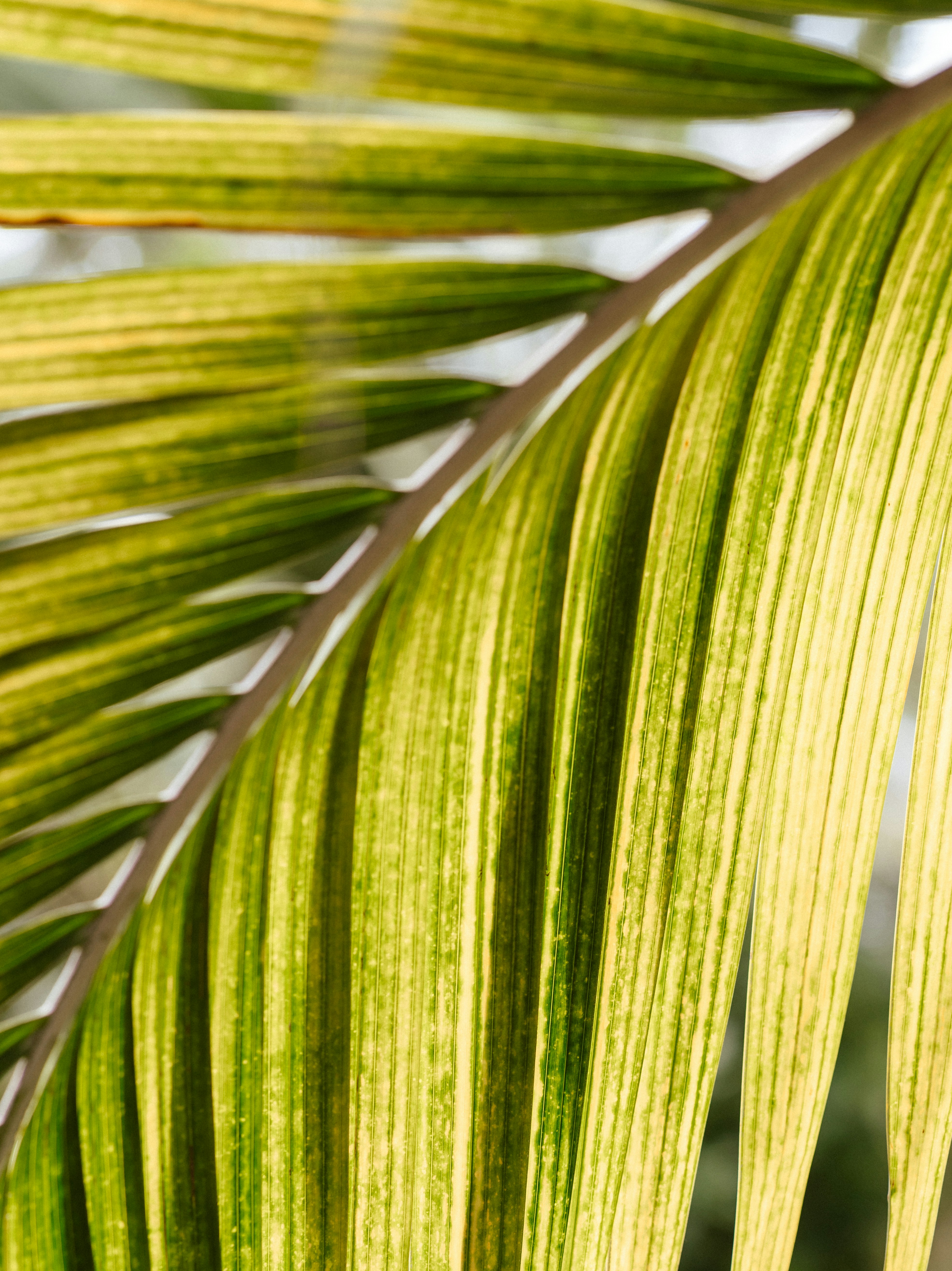 Photo by anniespratt