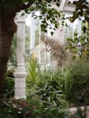 Decorative plants and natural textures creating a peaceful atmosphere.