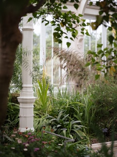 A lush indoor garden with a variety of green plants and foliage surrounding a white, decorative pillar. Soft, natural light filters through large windows in the background, creating a serene and tranquil atmosphere. Small flowers with hints of pink and white add subtle color to the scene.