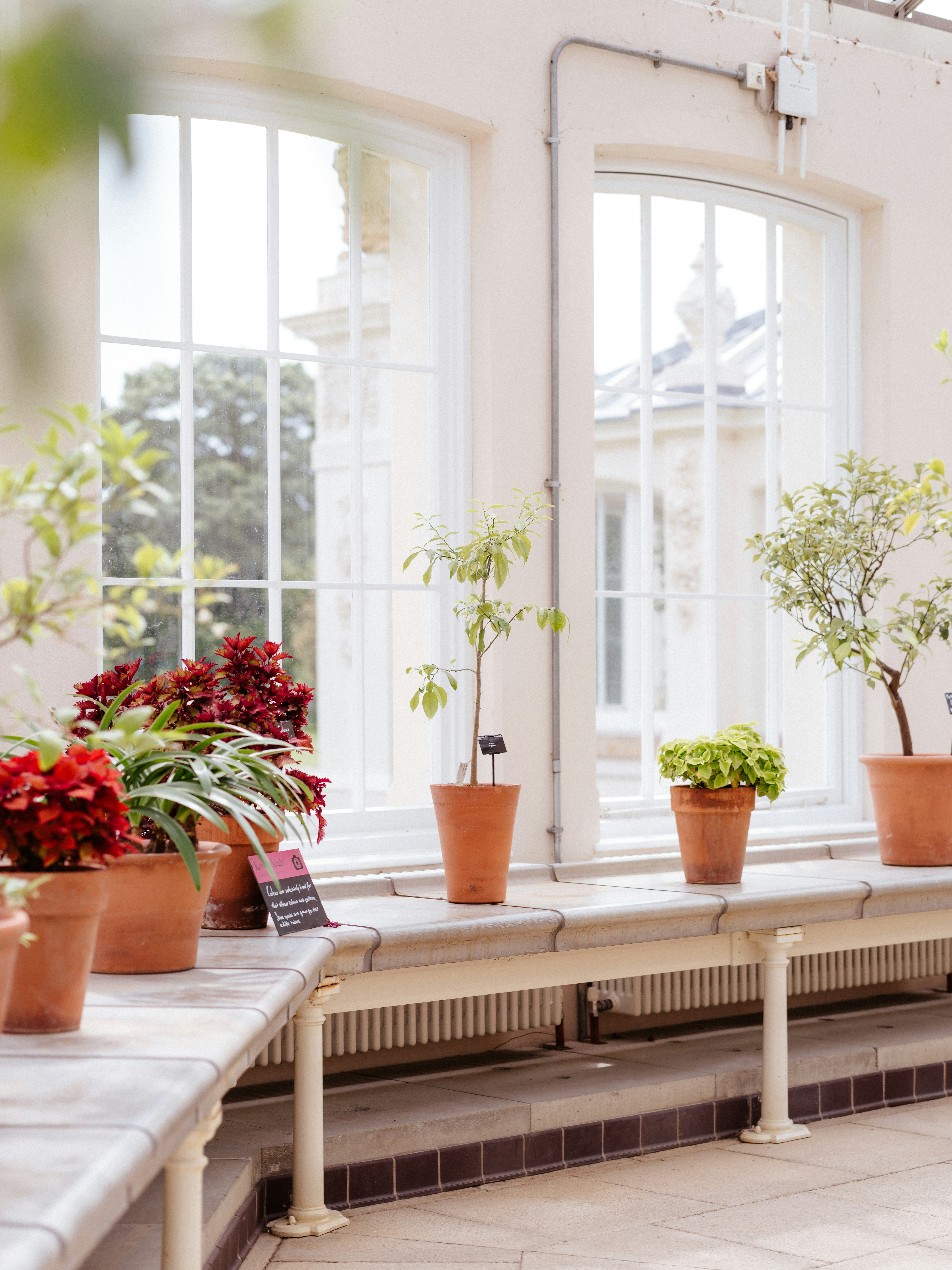 Photo by anniespratt