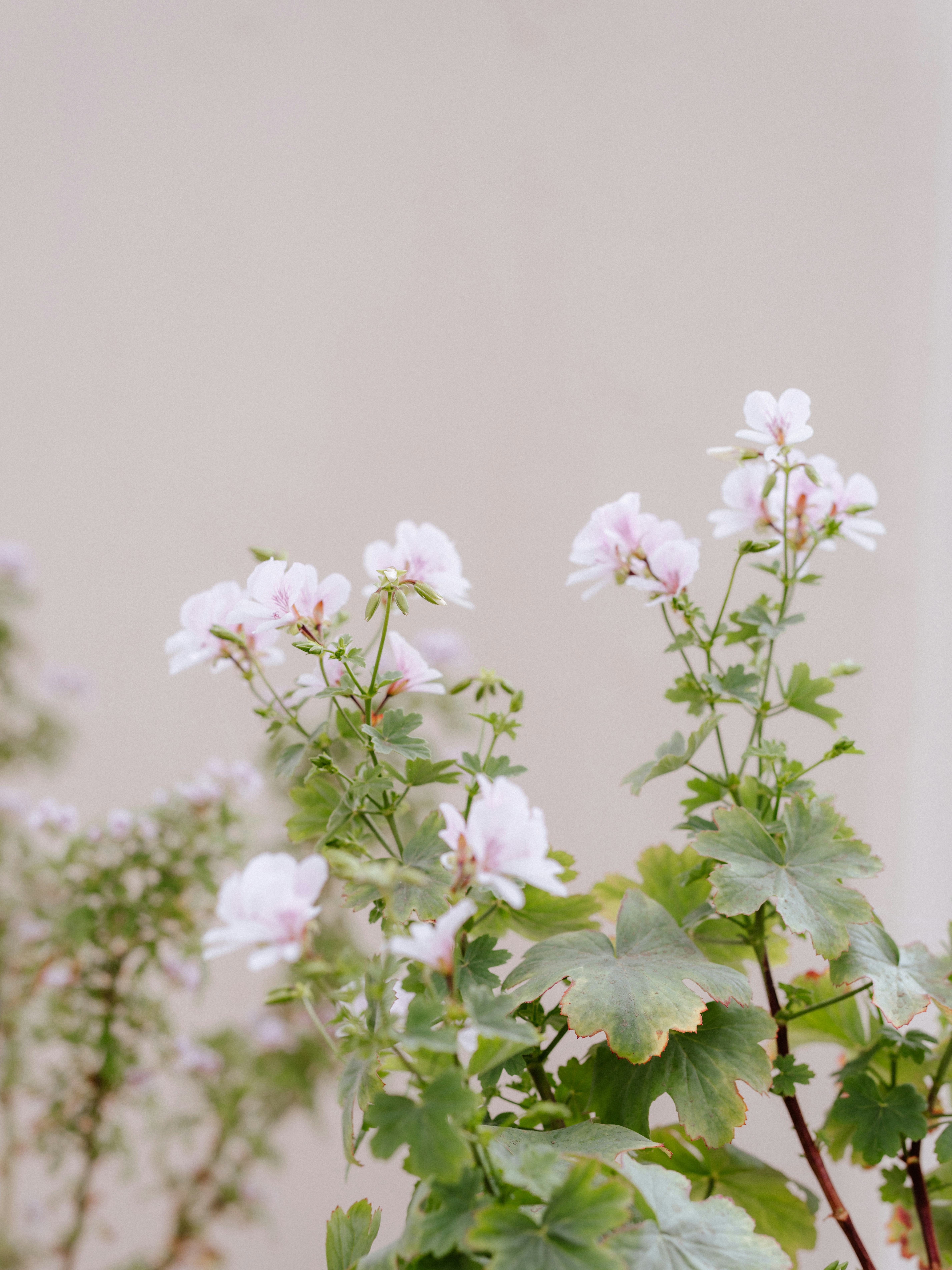 Photo by anniespratt