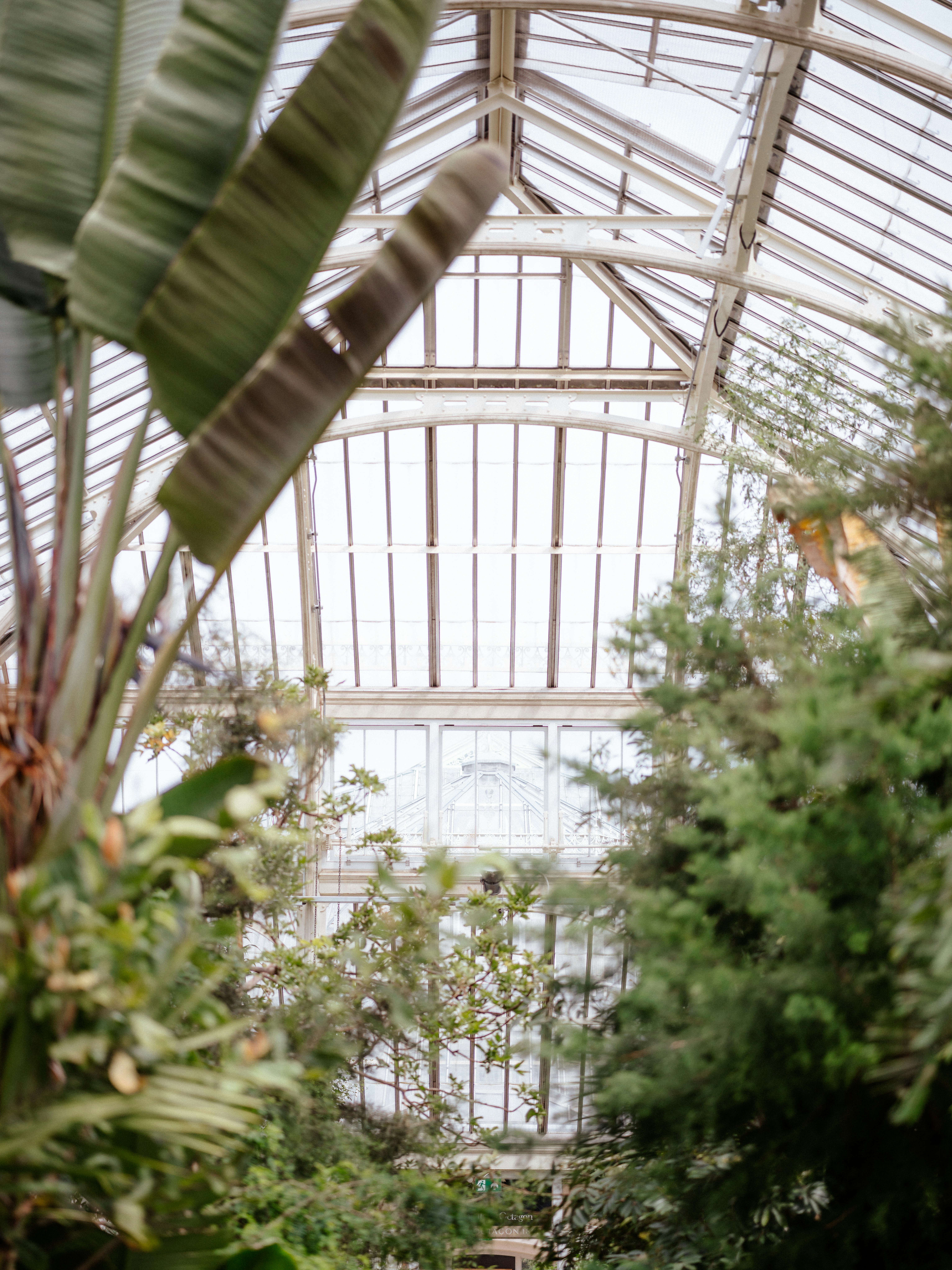 Photo by anniespratt