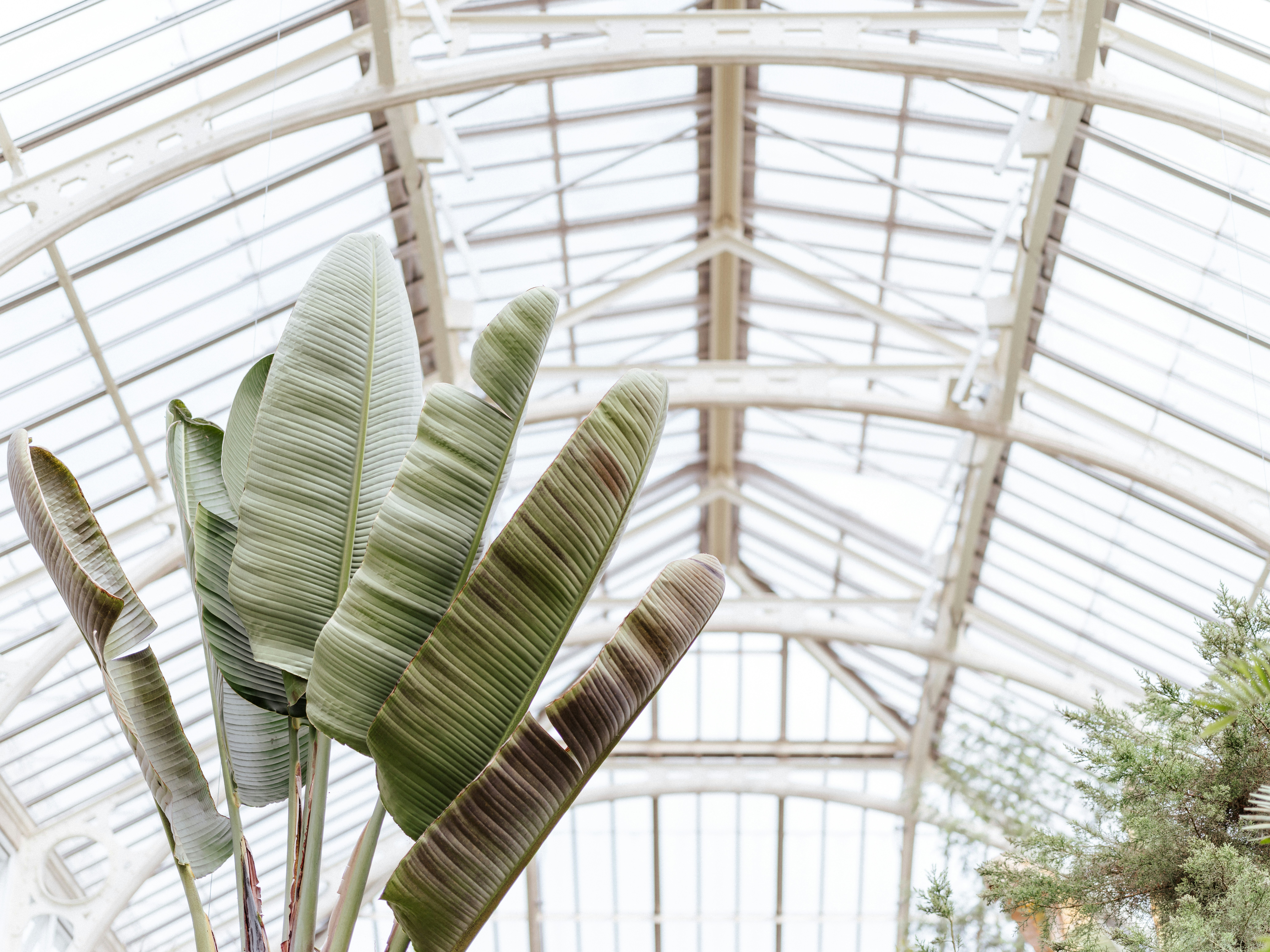 Photo by anniespratt