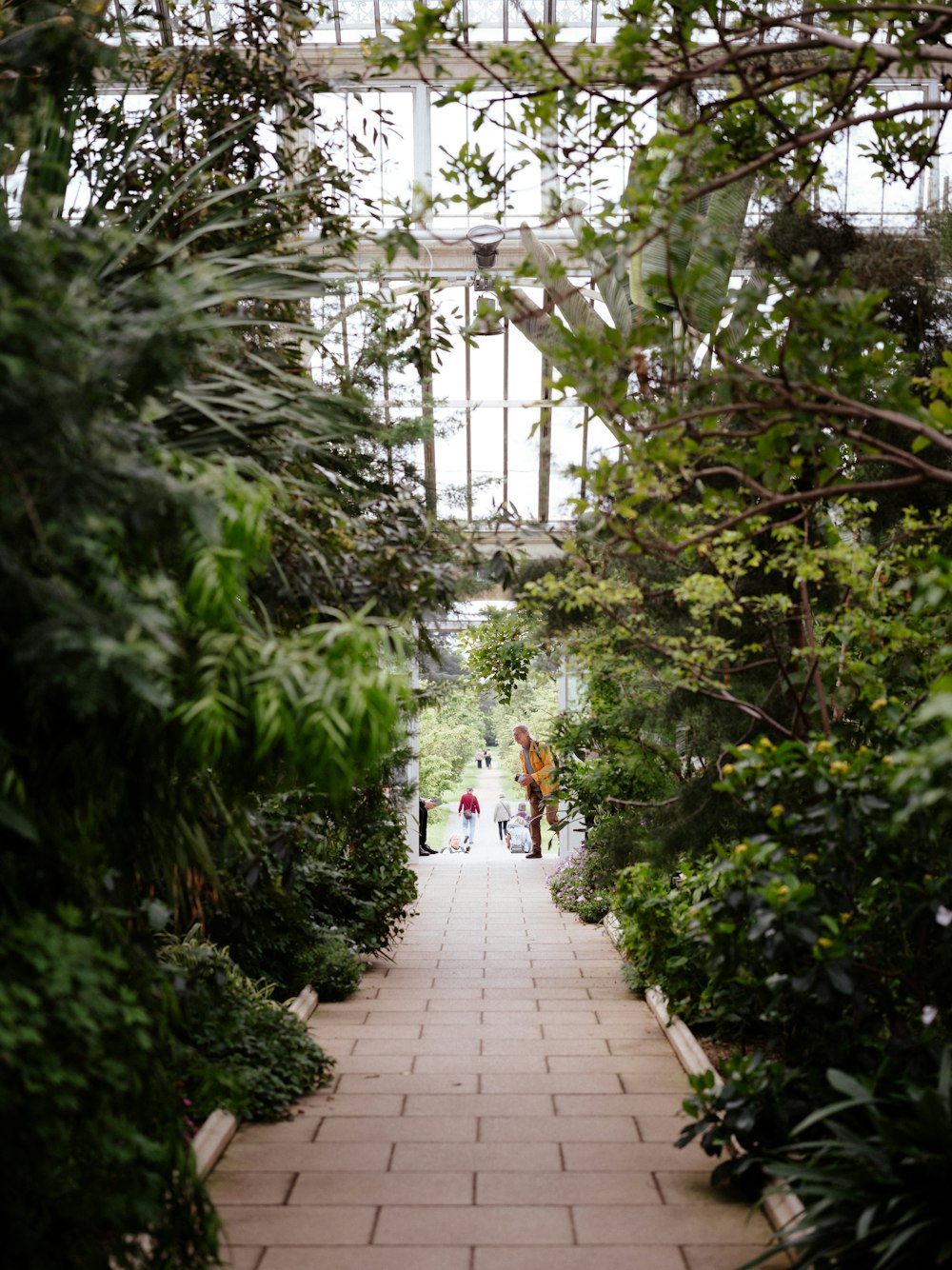 people walking down a walkway in a greenhouse