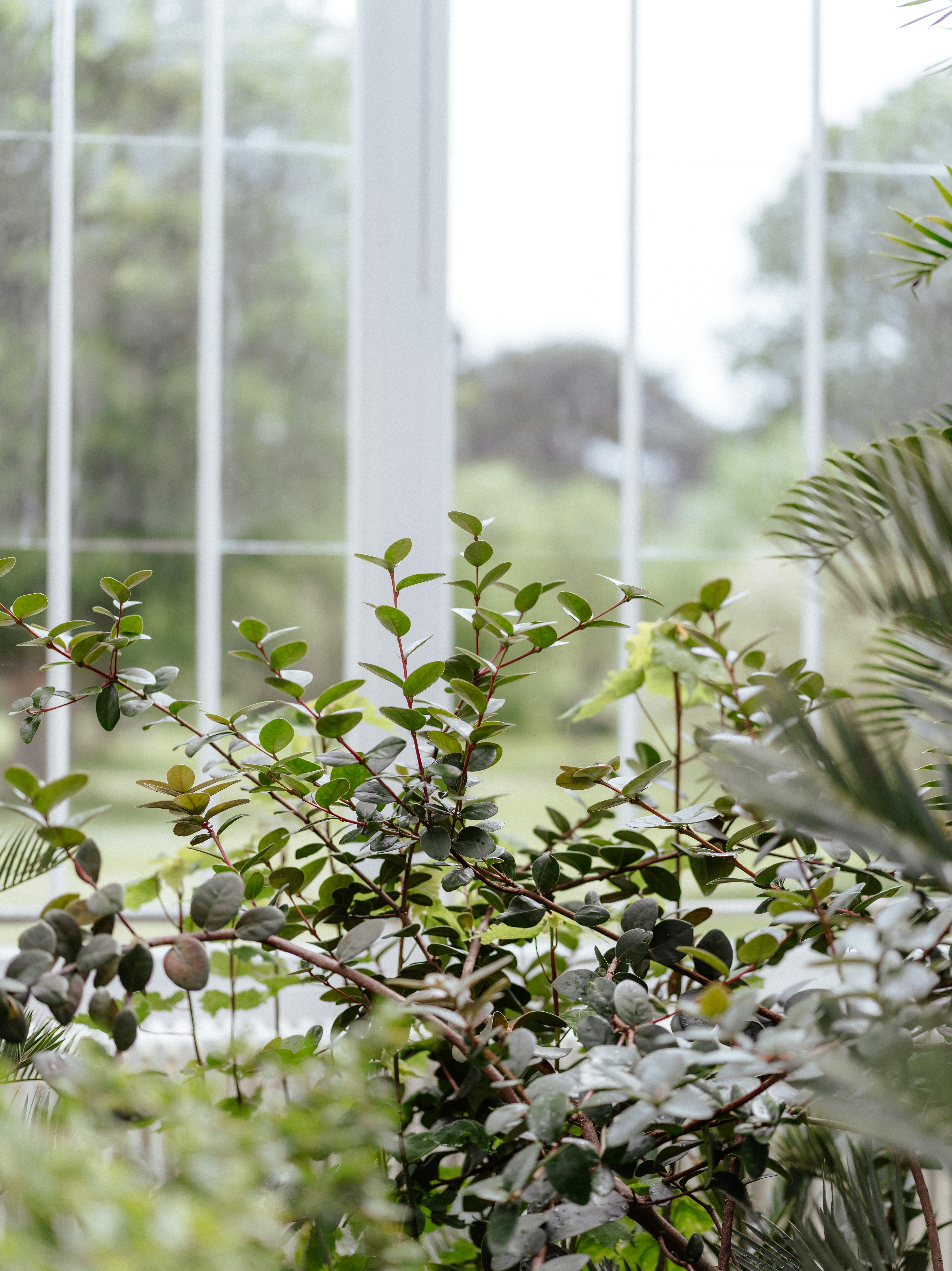 Photo by anniespratt