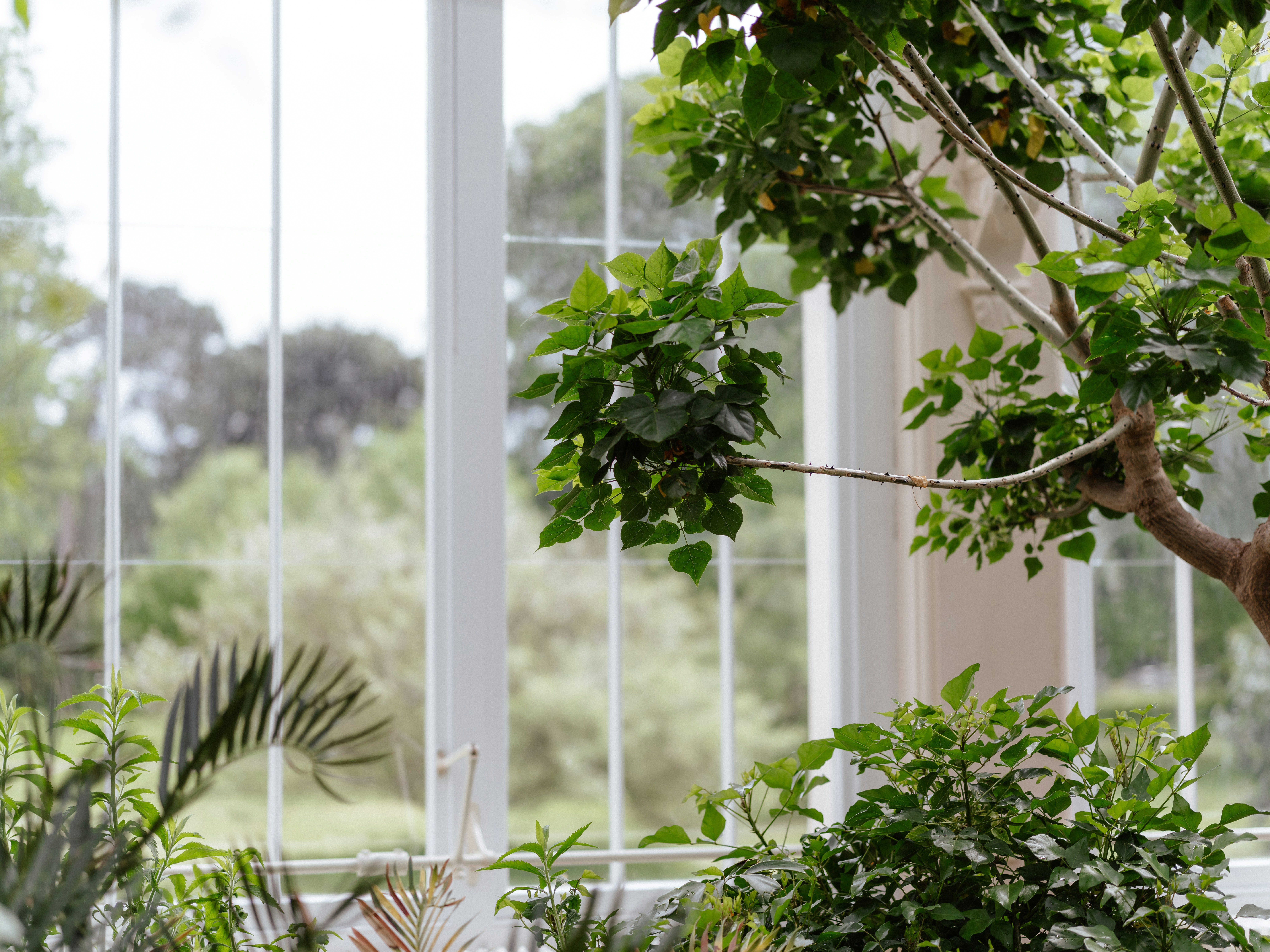 Photo by anniespratt