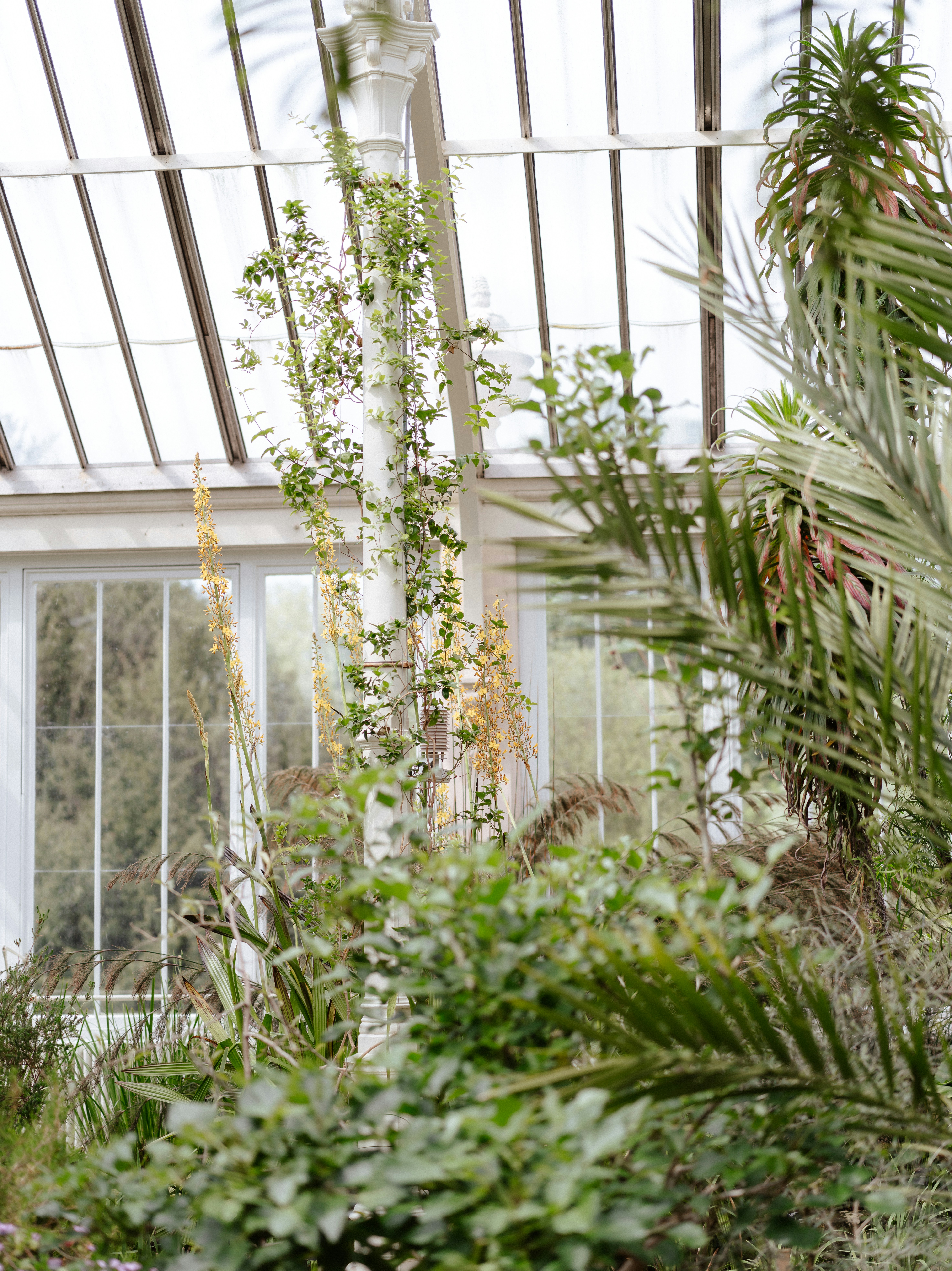 Photo by anniespratt